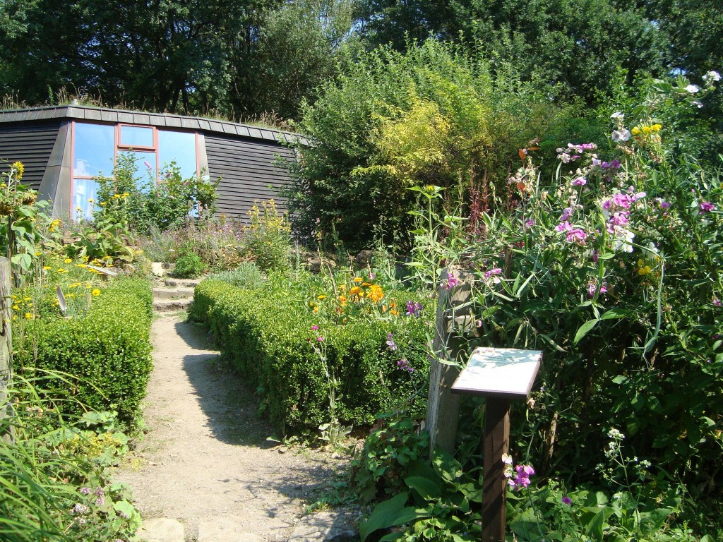 Rundgang Museumsgarten